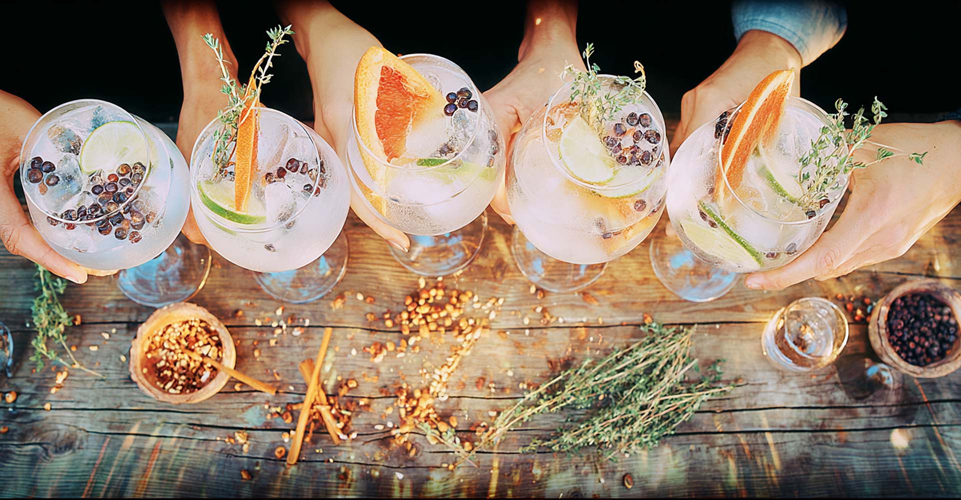 ginfest top 01