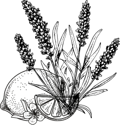 prvky 03