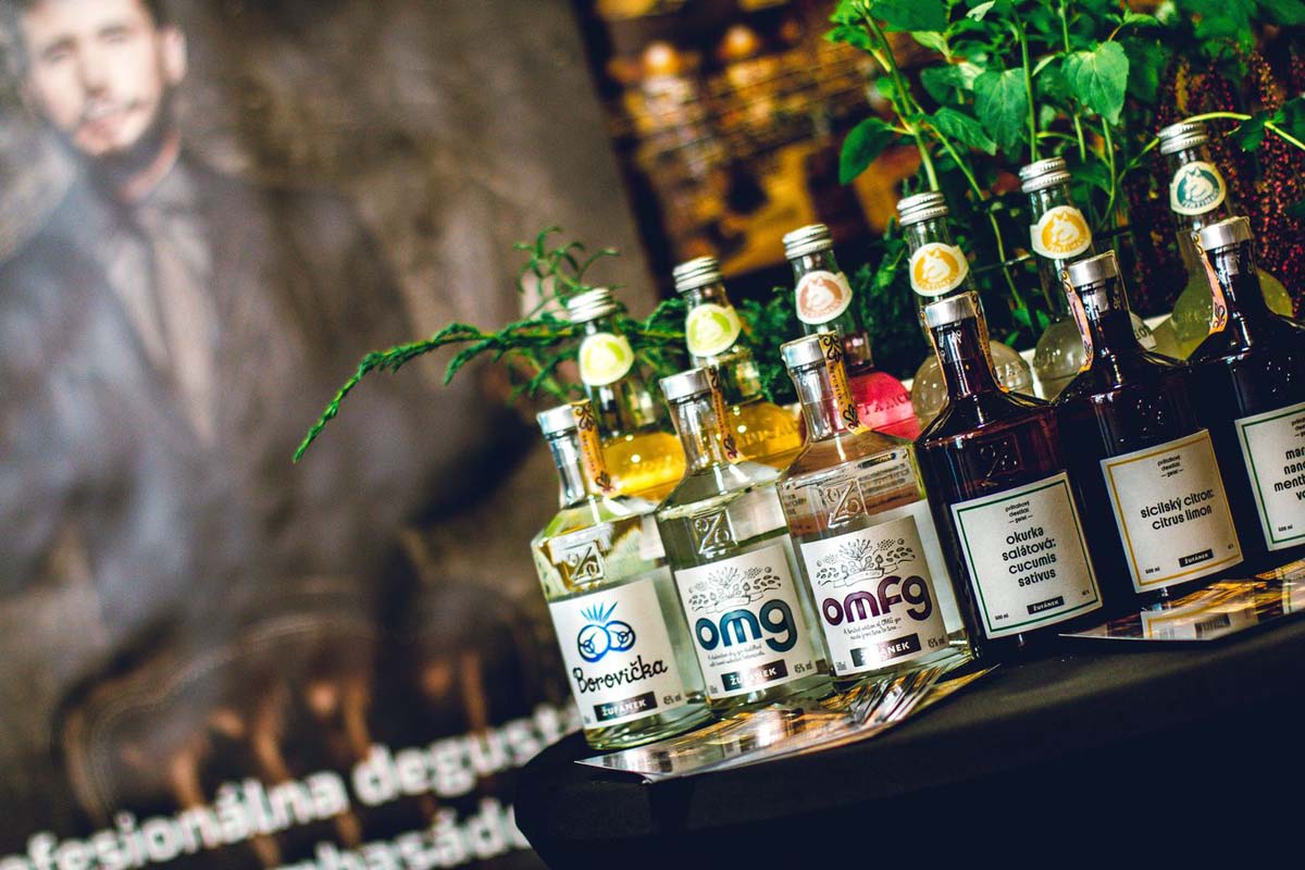 GIN FEST Bratislava 2017 — z archívu podujatia